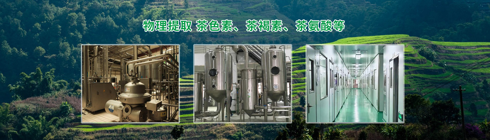 浙江中祿松波生物工程有限公司