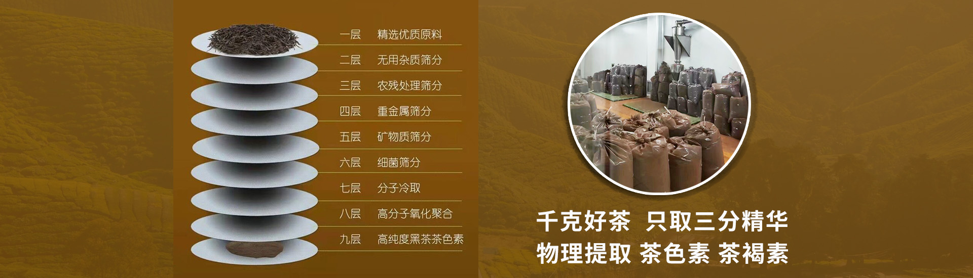 浙江中祿松波生物工程有限公司